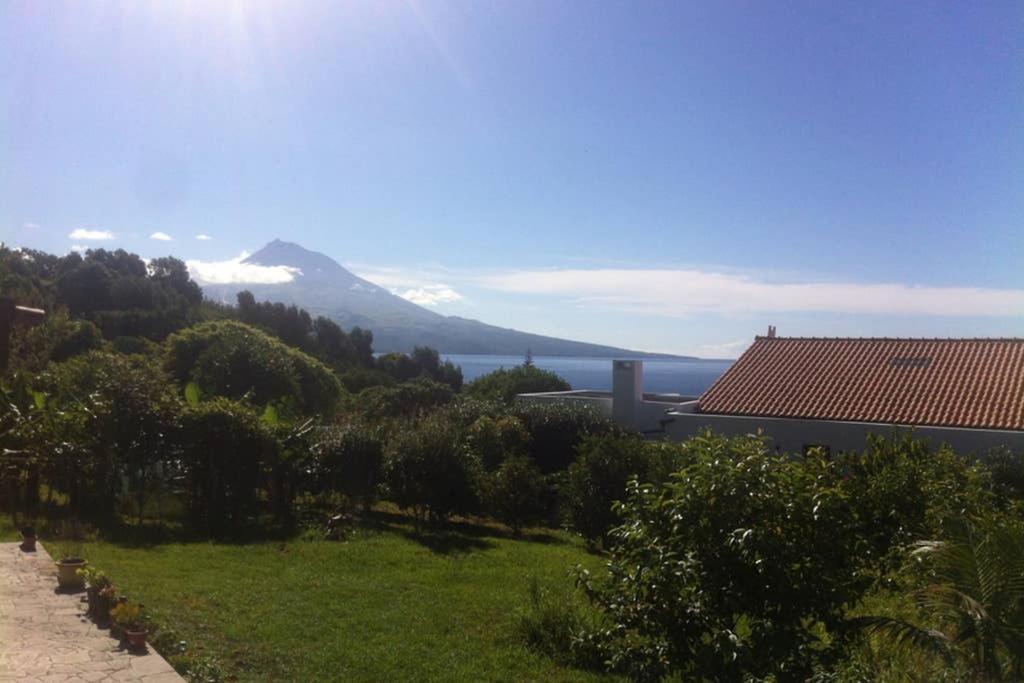Summer House With Bbq And Garden Horta  Eksteriør bilde
