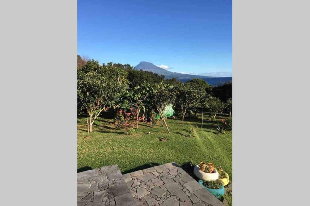 Summer House With Bbq And Garden Horta  Eksteriør bilde
